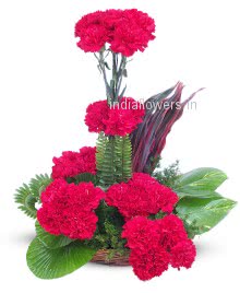 Lovely Red Carnation Arrangement nicely decorated with fillers and greens