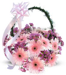 Beautiful Basket of 30 Pink Gerberas nicely decorated with fillers and greens