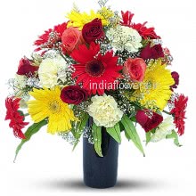 Mixed Multicolor Flowers Gerberas and Carnations and Roses in vivid colors.<br>Please Note: Vase is not included