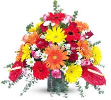 Mixed Multi Color  Flowers in a vase contains 20 mixed color gerberas, 20 mixed roses and 10 mixed carnations and 2 Anthurium. Please note we may substitute type of flowers / color of flowers in case of unavailability.