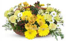 Bright Yellow Flowers combination in a Basket