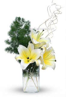 Stylish Lilies