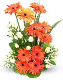 Arrangement of Orange Gerberas and Roses nicely decorated with fillers and greens.